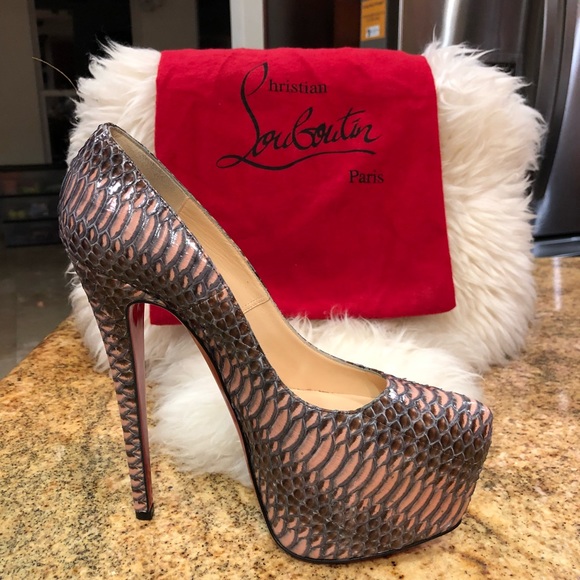 brown daffodile water snake rocaille - Picture 3 of 5